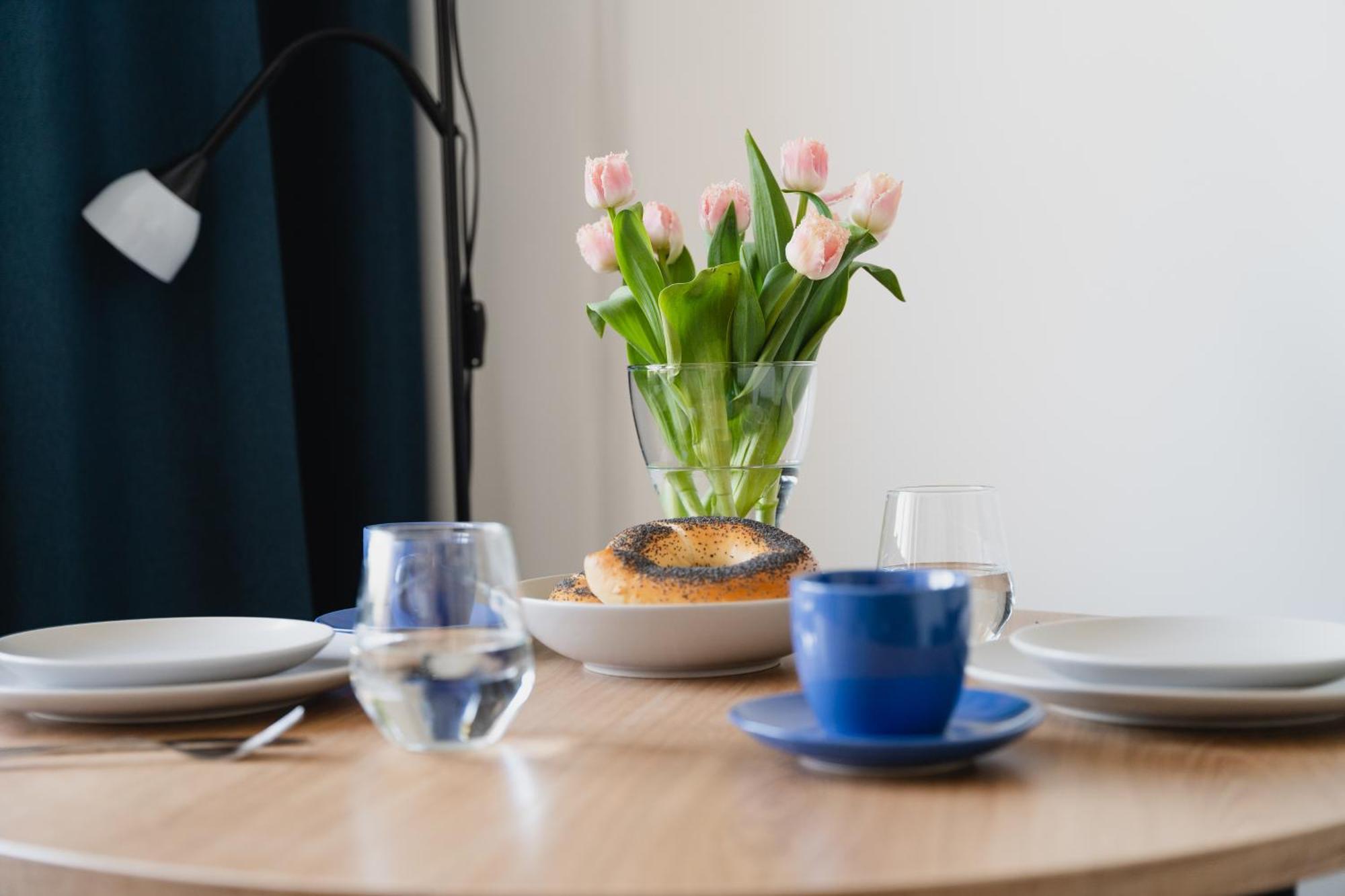 Totu Torunska Old Town Apartment *